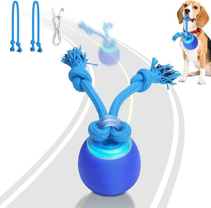 Saolife Interactive Dog Toys with Motion Activated, Squeaky Dog Toy Active Rolling Ball for Puppy and Medium Dogs, USB Rechargeable