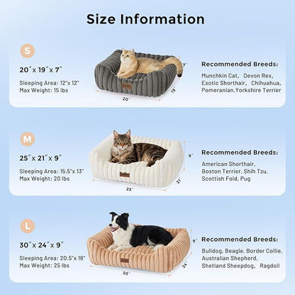 ZOMISIA Large Cat Beds - Orthopedic Dog Bed for Medium Dogs, Rectangle Pet Bed with Fluffy Removable Washable Cover, 25x21x9inches, Grey