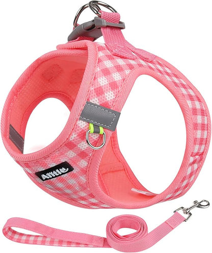 AIITLE Breathable Mesh Dog Vest Harness, No Pull Escape Proof Vest Harnesses with Reflective Bands, Adjustable Plaid Pet Outdoor Harnesses for Small and Medium Dogs Watermelon M
