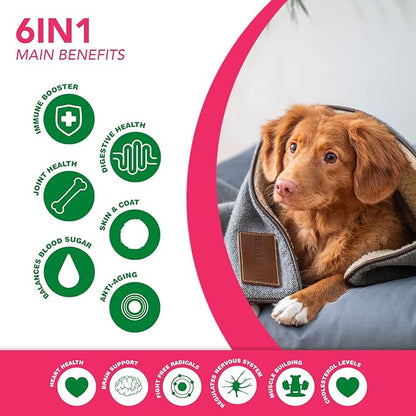 6 in 1 Superfood Dog Supplement with Organic Moringa | Treats for Immune System and Overall Health | Pets All Natural Multivitamins - 90 Chews