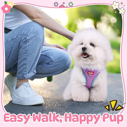 Coppthinktu Dog Harness with Leash Set for Small Sized Dogs Cats, No Pull Dog Harness Soft Mesh Cat Puppy Harness, Adjustable Reflective Step-in Pet Vest Harnesses for Outdoor Walking Training