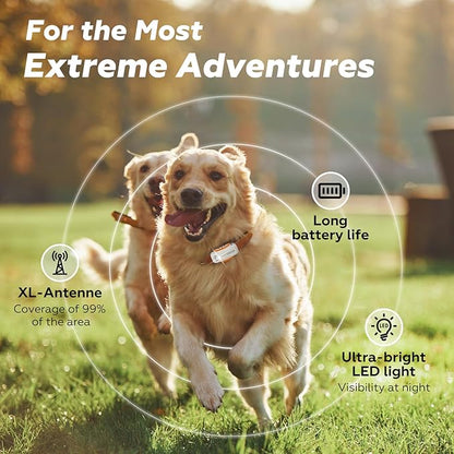 DBDD Smart GPS Dog Collar Tracker with Virtual Fence, Live Tracking & Vital Signs Monitoring for Dogs 40lbs Up, Waterproof Pet GPS Tracker for Pets,iOS & Android Compatible