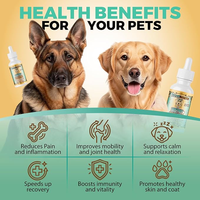 Hippie Dawg Big DAWG Hemp Oil for Large Dogs (50-75 lbs) - Maximum Strength Hip and Joint Support with Glucosamine, Collagen & Hyaluronic Acid - Natural Calming Tincture for Mobility & Wellness - 1oz