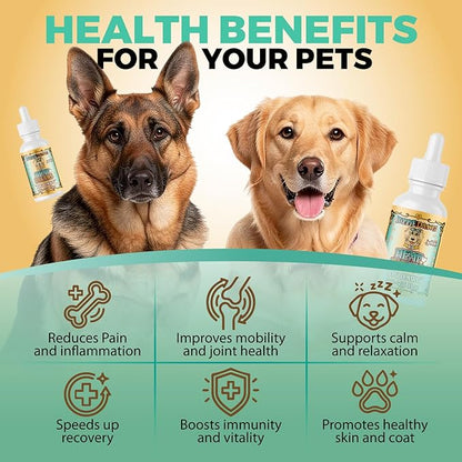 Hippie Dawg Big DAWG Hemp Oil for Large Dogs (50-75 lbs) - Maximum Strength Hip and Joint Support with Glucosamine, Collagen & Hyaluronic Acid - Natural Calming Tincture for Mobility & Wellness - 1oz