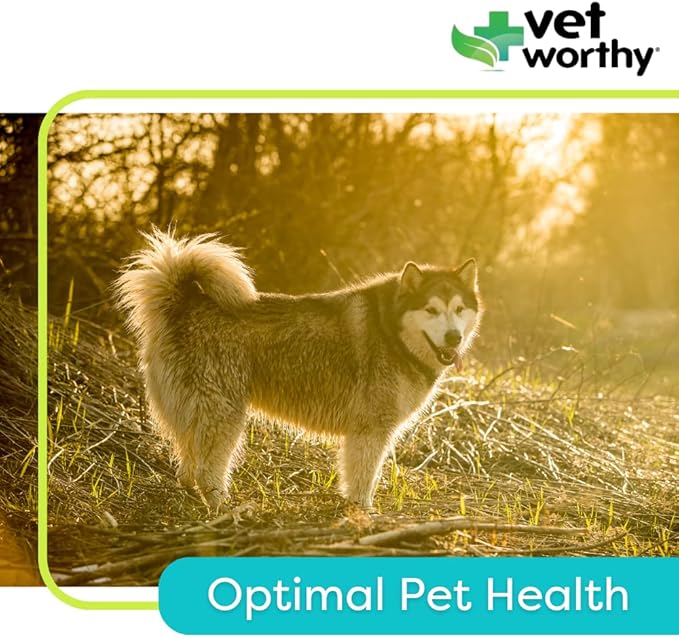 Vet Worthy Adult Multi Vitamins - Multivitamin for Dogs to Support Optimum Health and Overall Wellness - Dog Supplement with Iron, Magnesium, Zinc, Vitamin A, B Vitamins - Liver Flavor, 60 Tablets