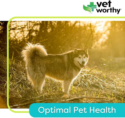 Vet Worthy Adult Multi Vitamins - Multivitamin for Dogs to Support Optimum Health and Overall Wellness - Dog Supplement with Iron, Magnesium, Zinc, Vitamin A, B Vitamins - Liver Flavor, 60 Tablets