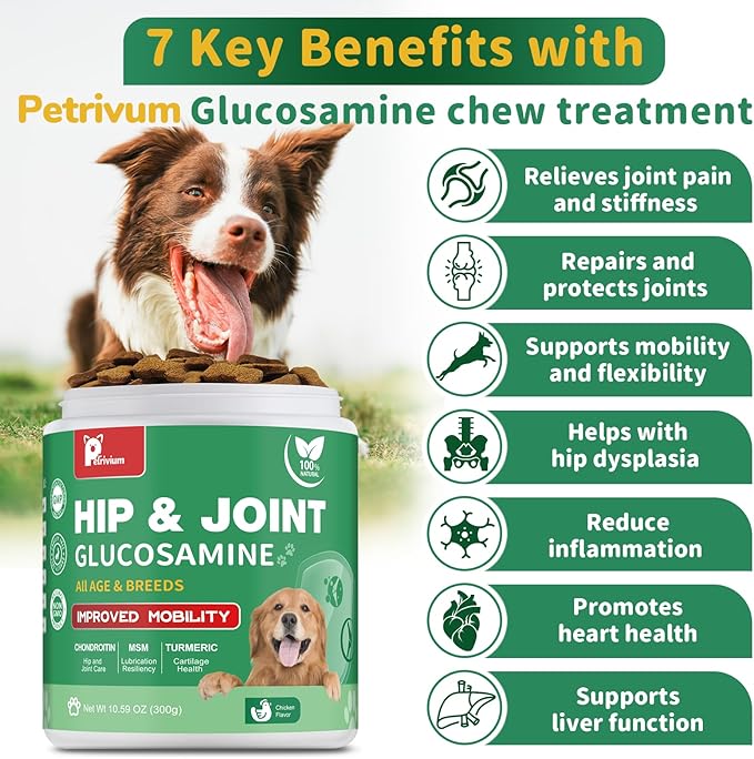 Hip and Joint Supplement for Dogs, Glucosamine Treats Chews with Chondroitin, MSM, Turmeric - Support Joint Pain Relief, Mobility, Reduce Occasional Discomfort, Fit All Ages and Breeds, 150 Soft Chew