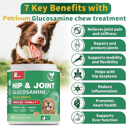 Hip and Joint Supplement for Dogs, Glucosamine Treats Chews with Chondroitin, MSM, Turmeric - Support Joint Pain Relief, Mobility, Reduce Occasional Discomfort, Fit All Ages and Breeds, 150 Soft Chew
