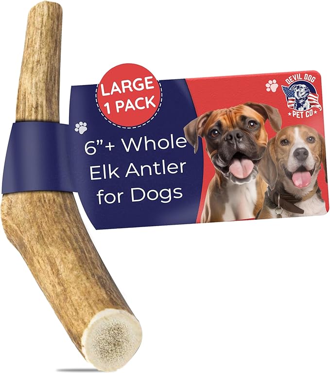 Devil Dog Pet Co - Elk Antler for Dogs Large - Long Lasting Natural Dog Chew for Aggressive Chewers, Medium Breeds - Naturally Shed Grade A Rocky Mountain Elk, Reduces Anxiety & Boredom (35-60 lbs)