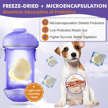 DRFOSTER Probiotics for Dogs, Freeze-Dried Dog Probiotics and Digestive Enzymes, Plus Omega-3 for Itchy Skin, Prebiotics for Digestive Health, Dog Vitamins and Supplements for Immune Health, 180 Bites