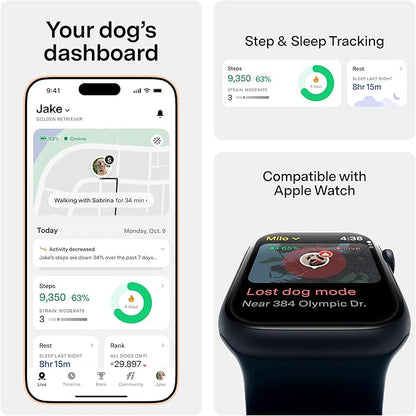 Fi New Series 3+ Smart Dog Tracker Collar [6 Month Membership Included] GPS Tracker for Dogs with Health & Behavior Monitoring, Escape Alerts, Waterproof, LED, Apple Watch Compatible (Yellow, Large)