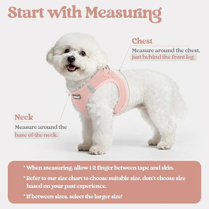 rabbitgoo Dog Harness Small Sized and Leash Set, Step in Soft Light Puppy Vest, Breathable Mesh Pet Harness, Reflective for Outdoor Safe Walking, Pink XL