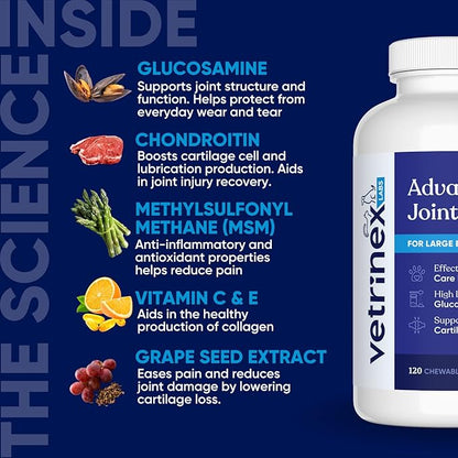 Joint Support Supplement for Large Dogs - Hip and Joint Chewable Tablets for Small, Medium & Large Breed Dogs with Glucosamine, Chondroitin, and MSM, Beef Flavor, 120 Tablets