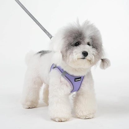 Solmoony Sparkly XS Dog Harness and Leash Set, Step in Soft Light Puppy Vest, Breathable Reflective Pet Harness for Walking, Puppy Harness for Small Dogs Cats (Purple, XS)