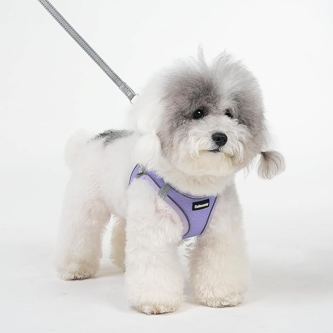 Solmoony Sparkly Medium Dog Harness and Leash Set, Step in Soft Light Puppy Vest, Breathable Reflective Pet Harness for Walking, Puppy Harness for Medium Dogs Cats (Purple, L)