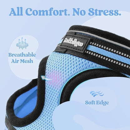 rabbitgoo Cat Harness and Leash Set for Walking Escape Proof, Adjustable Soft Kittens Vest with Reflective Strip for Cats, Comfortable Outdoor Vest, Light Blue, XL