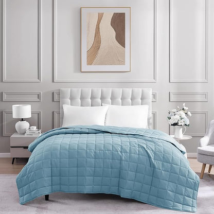 Casa Platino Pre-Washed Microfiber Down Alternative Quilted Blanket - All Season Queen Size - French Blue