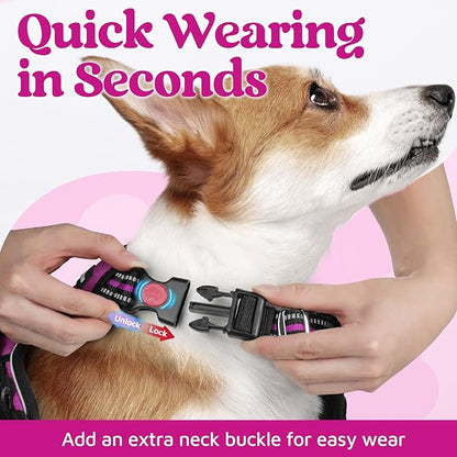 rabbitgoo Dog Harness for Large Dogs, No Pull Pet Vest with 3 Buckles, Adjustable Soft Padded Pet Harness with Easy Control Handle and Reflective Strips, Purple, L