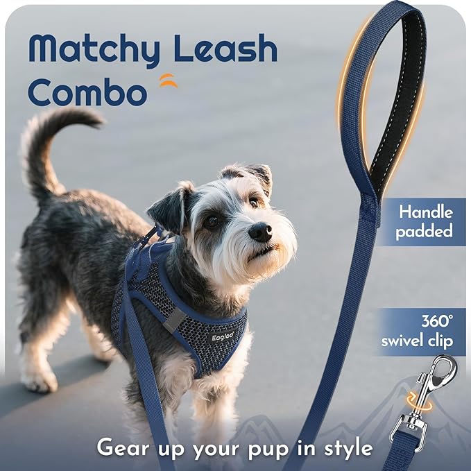Eagloo Small Dog Harness and Leash Set, Step in Puppy Vest with Breathable Soft Mesh, Walking Reflective Pet Harness for Small Dogs, Navy Blue, S