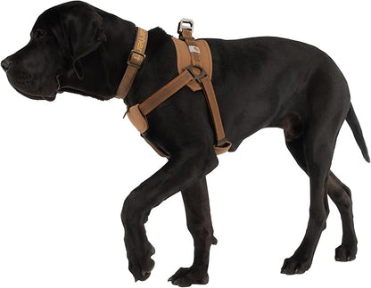 Carhartt Nylon Duck Comfortable Training Dog Harness, Fully Adjustable No Choke Rugged On-Leash Training Harness with Dual Attachment Points, Medium