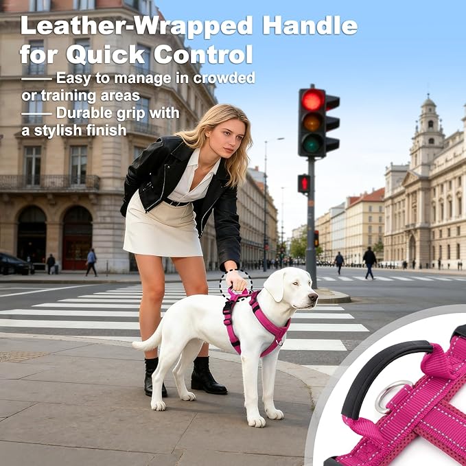 No Pull Dog Harness with Handle, Soft Mesh Padded Adjustable for Small Medium Large Dogs | Reflective Easy Walk Harness with Front Clip for Training, Running & Outdoor (Hot Pink, M)