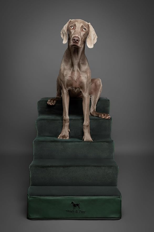 Noah & Paw Dog Stairs, Dog Ramp for Bed (20" Extra Wide) Pet Stairs for High Bed, Design to Fit Small and Large Breeds, Durable 5 Pet Steps for Couch (35 Foam Density) Leather Collection