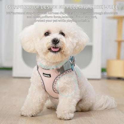 AIITLE Small Dog Harness - Breathable Double-Layer Jacquard No-Choke Vest, Durable Anti-Tear Fabric with Reflective Trim - Perfect for Running, Parties, Daily Walks (Blue-Pink, XS)