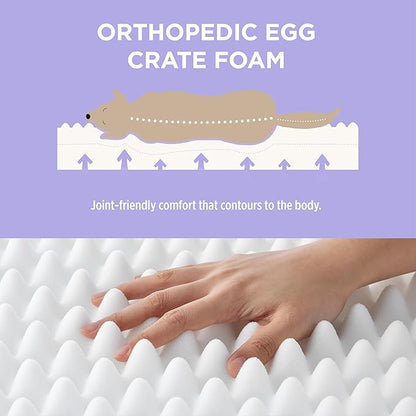 LE SURE Cute Orthopedic Dog Bed Medium Size Dog, Waterproof Chic Flat Pet Beds with Removable Washable Cover, Fuzzy Thick Egg Crate Foam Pet Mat for Indoor Use (30" x 20", Cream)