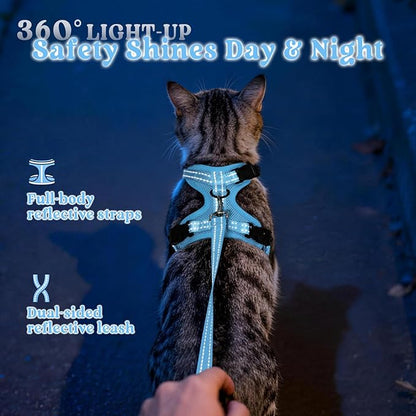 rabbitgoo Cat Harness and Leash, Escape Proof Vest with 3 Adjustable Buckles, Soft Comfortable Kitten Harness, Easy to Wear, Reflective for Safe Outdoor Walking, Medium, Sky Blue