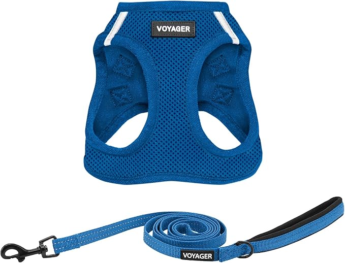 Best Pet Supplies Voyager Step-in Air All Weather Mesh Harness and Reflective Dog 5ft Leash Combo with Neoprene Handle, for Small, Medium and Large Breed Puppies - Set (Royal Blue), XX-Small