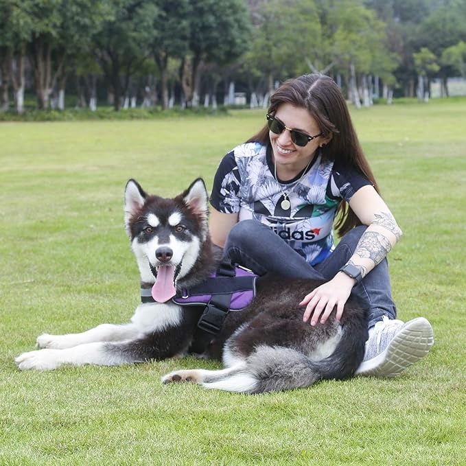 Bolux Dog Harness, No-Pull Reflective Dog Vest, Breathable Adjustable Pet Harness with Handle for Outdoor Walking - No More Pulling, Tugging or Choking (Purple, XS)