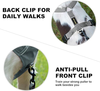 Plutus Pet No Pull Dog Harness, Reflective Adjustable Dog Vest Harness with Handle, Escape Proof, Soft Padded for Small Medium Large Dogs (Gray, M)