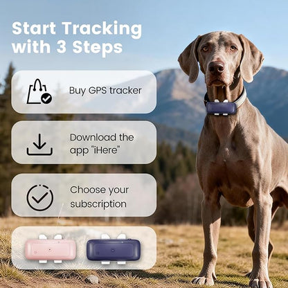SEEWORLD Cat Tracker 4G Mini GPS Pet Tracker Device for Dogs Cats Real-Time Location, Virtual Fence, 180 Days Location History for 6.5lbs+ Pets, Subscription Required
