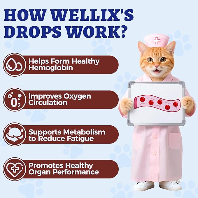 4oz Liquid Iron Supplement for Cats&Dogs-Vitamin B12&C-Cat Anemia Supplements, Hemoglobin Support,Lethargy,Pregnant Cat&Dog Essentials,Kitten & Puppy Supplements-Large Volume