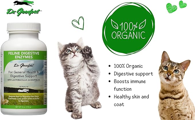 Dr. Goodpet Feline Digestive Enzymes with Probiotics & Prebiotics – Daily Digestive Support Powder for Cats – Promotes Cat Digestion, Nutrient Absorption & Healthy Stool – Vegan