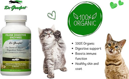 Dr. Goodpet Feline Digestive Enzymes with Probiotics & Prebiotics – Daily Digestive Support Powder for Cats – Promotes Cat Digestion, Nutrient Absorption & Healthy Stool – Vegan