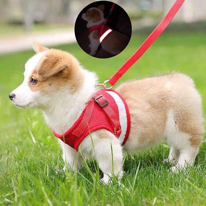 FEimaX Dog Harness and Leash Set for Walking, Soft Mesh Adjustable Easy Control Lightweight Cat Vest Harnesses with Reflective Strips, Escape Proof Small Dogs Cats Vests (Red, Large)