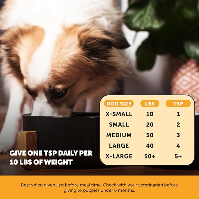 Dog Allergy Relief Salmon Oil for Seasonal Itch Relief for Dogs, Omega-3 for Dogs, Dog Skin and Coat Supplement, May Reduce Shedding & Itching, Joint, Brain & Heart Health (16 oz)
