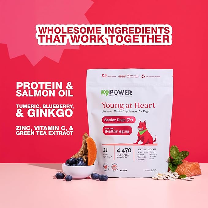 K9Power Young at Heart – Senior Dog Supplement for Longevity & Vitality – Supports Joints, Brain, Heart, Digestion, Skin & Energy – Amino Acids, Vitamins, Minerals, CoQ10, Omega 3s, Turmeric