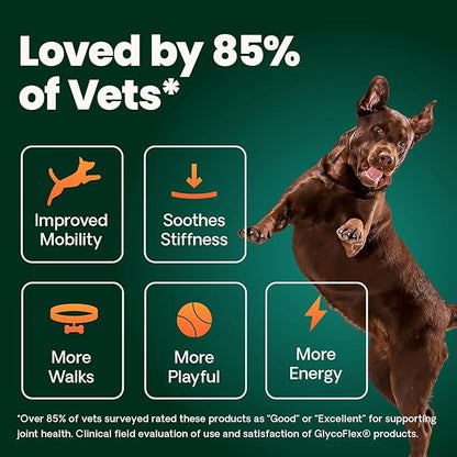 VetriScience Ultimate Strength Hip & Joint Supplement for Dogs, GlycoFlex Plus – MSM, Chondroitin & Green-Lipped Mussel Chews for Mobility, Flexibility, Comfort & Support, Peanut Butter Flavor 120 Cnt