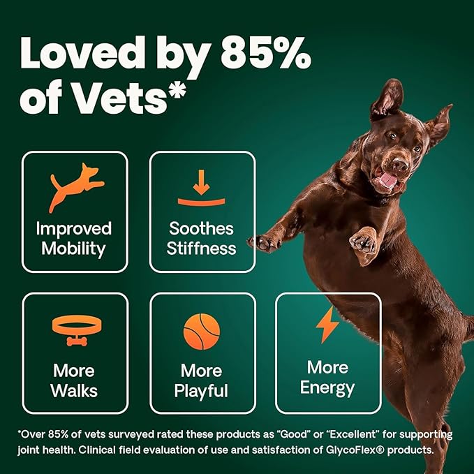 VetriScience Ultimate Strength Healthy Hip & Joint Chews, GlycoFlex Glucosamine, Chondroitin and Green-Lipped Mussel Joint Support Supplement for Dogs, Soothe Joint Discomfort, Duck, 60 Count