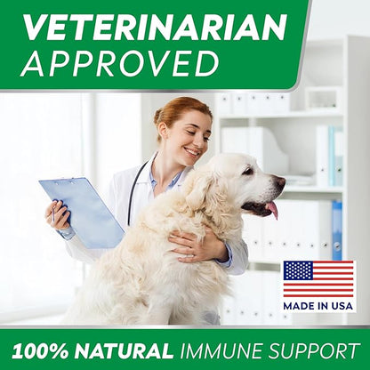 StrellaLab Dog Allergy Relief & Anti Itch Support Chews w/Omega 3: Real Ingredients, Real Taste! Skin & Coat Immune Supplement w/Fish Oil, Pumpkin & Enzymes — Developed by Experts - Made in USA -120Ct