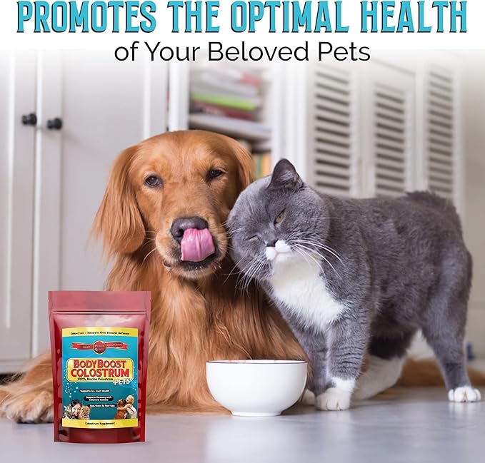BodyBoost Bovine Colostrum for Dogs and Cats, Organic Immune Support Supplement for Allergy and Itch Relief, Grass Fed Colostrum Powder for Pets, Dog Gut Health, All Ages, 8 oz