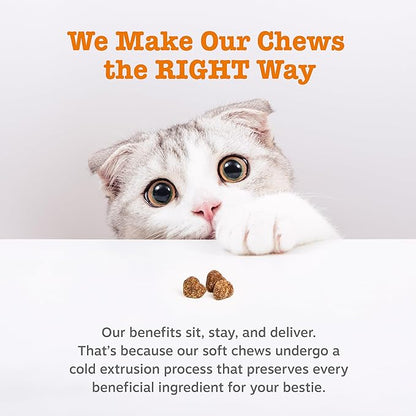 Zesty Paws Cat Allergy Relief - Anti Itch Supplement - Omega 3 Probiotics - Salmon Oil Digestive Health - Soft Chews for Skin & Seasonal Allergies - with Epicor Pets - Bacon - 60 Count