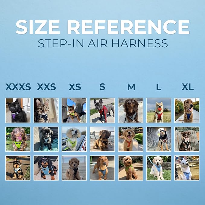 Best Pet Supplies Voyager Step-in Air All Weather Mesh Harness and Reflective Dog 5ft Leash Combo with Neoprene Handle, for Small, Medium and Large Breed Puppies - Set (Red Trim), X-Small