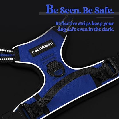 rabbitgoo Dog Harness No Pull with 2 Leash Clips, Adjustable Soft Padded, Reflective Oxford No Choke Pet Vest with Easy Control Handle for Large Dogs, Dazzling Blue, XL