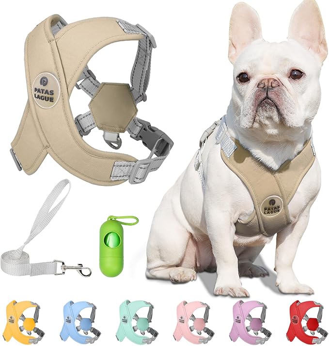 Patas Lague Dog Harness with Leash Set Adjustable Soft Padded Step-in Dog Vest No Choke No Pull Reflective for Small Pets with Poop Bags and Dispenser, Solid and No-chew, Brown XS