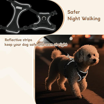Small Dog Harness and Leash Set, Reflective Soft Breathable Mesh Vest, 3 Buckles, Adjustable Neck and Chest,Step in Dog Harness for Walking, Running, Training, Black, M