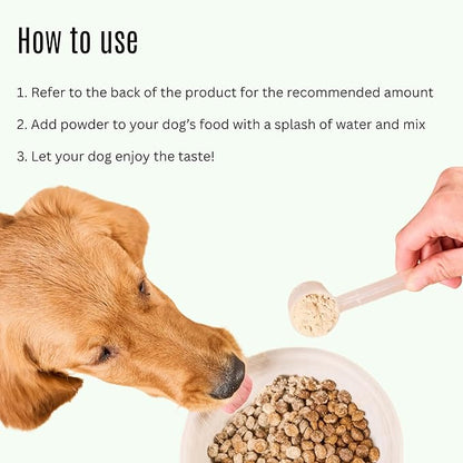 K9 Power Digest Forte – Advanced Digestive & Immune Support for Dogs – Probiotic, Prebiotic, Postbiotic Blend with Salmon Oil, Ginger, Kelp, Pomegranate, L-Glutamine – Gas, Stool, Eye & Gut Relief