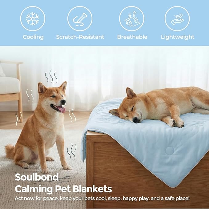 Soulbond Cooling Blanket for Extra Large Dogs - Q-MAX>0.45, Washable Cool Pet Cats Throw Blanket for Hot Weather, Self-Cooling Soft Dog Mat for Bed Crates Couch Sofa Cars(50"x60", Light Blue)